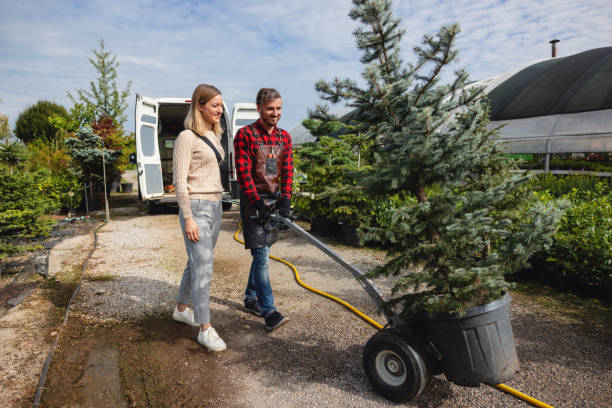 Tree Health Inspection in Hertford, NC